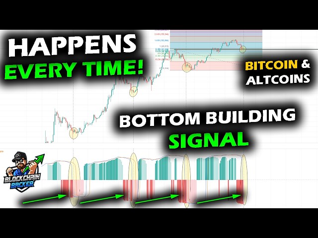 DEEP VALUE for Bitcoin, XRP Price Chart and Altcoin Market, Bottom Building Signals on Big Timeframe