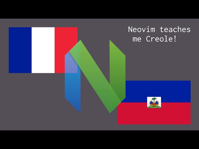 How Neovim Taught Me French