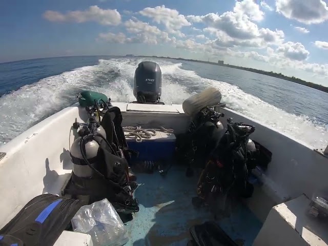 Returning To Our Diving Roots