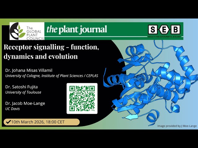 Receptor signalling - function, dynamics and evolution