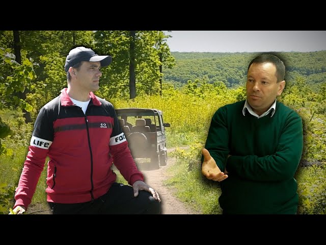 Hoții de păduri (I). Dezvăluirile unui pădurar | zdg.md