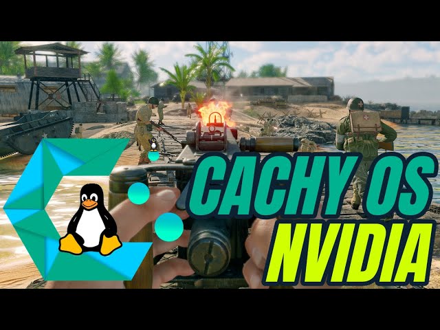 Enlisted | Windows vs Linux Native vs Proton Experimental | Cachy OS Linux