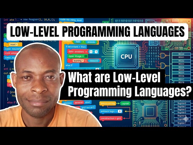 What Are Low-Level Programming Languages? | An Explanation Of Low-Level Programming Languages