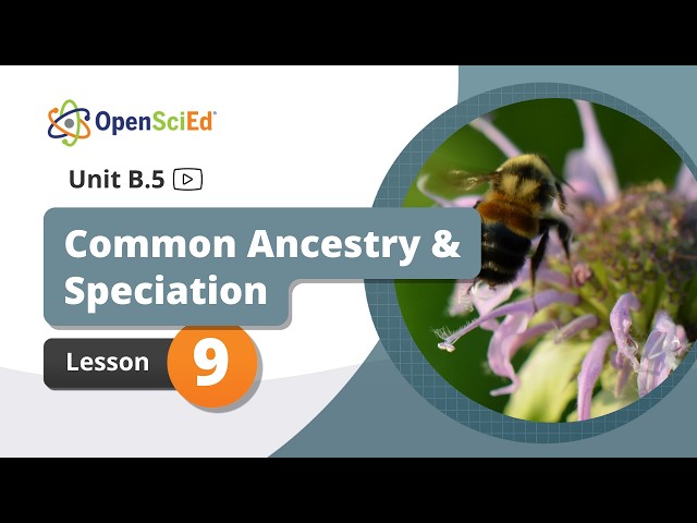 Unit B.5 Lesson 9 Planning Video | OpenSciEd On-Demand Resources