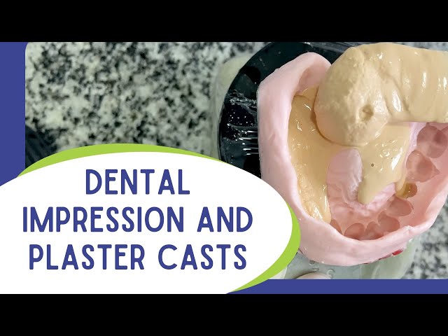 How to make dental impression and plaster cast.