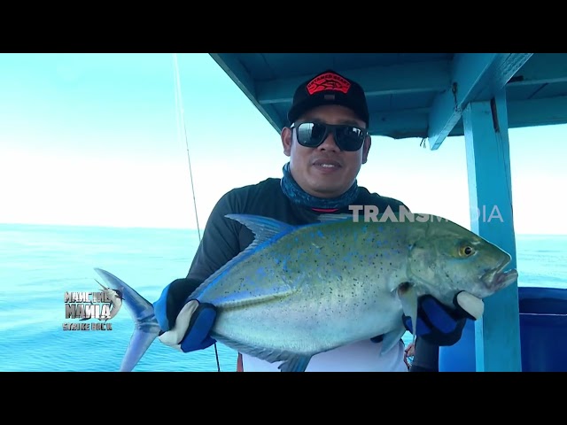 Mancing Bareng Yuni, Agai Ulai Berau Favorit 2019 | MANCING MANIA STRIKE BACK (15/08/26) P1