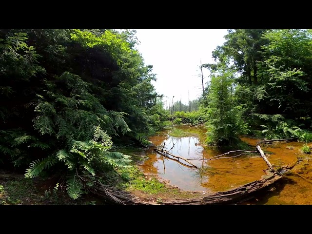 LittleConemaughRiverTour Part1