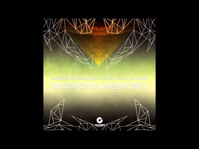 Psilocybe Project & Myrah & D Maniac -  Working Memory