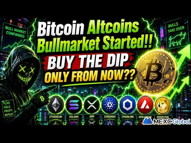 Bitcoin Altcoins Price Analysis - BUY THE DIP Only From Now On?!