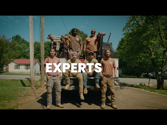 We Are Problem Solvers 15   YOUTUBE 16x9