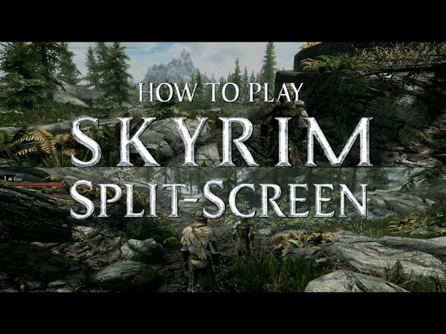 How To Play Skyrim Split-Screen! (PC)