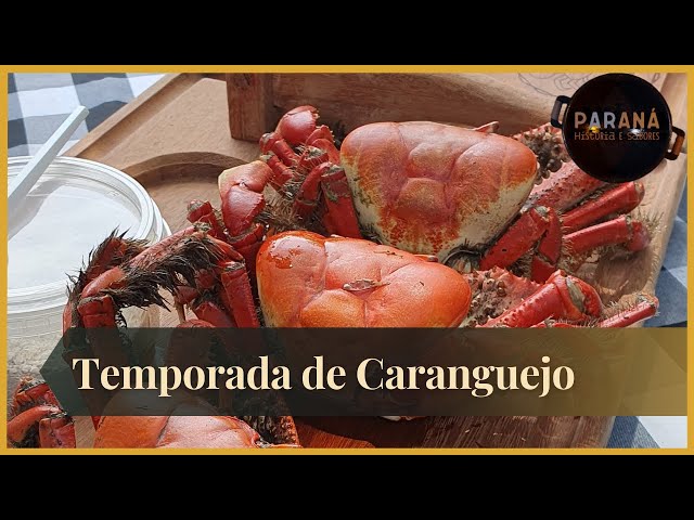Paraná História e Sabores: TEMPORADA DE CARANGUEJO