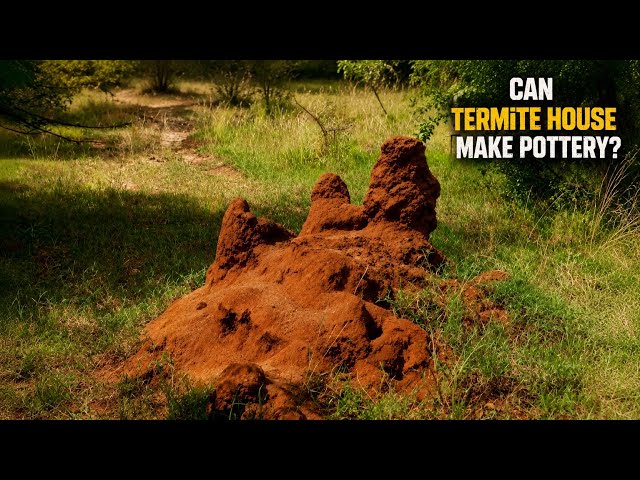 I turned termite mound into pottery 