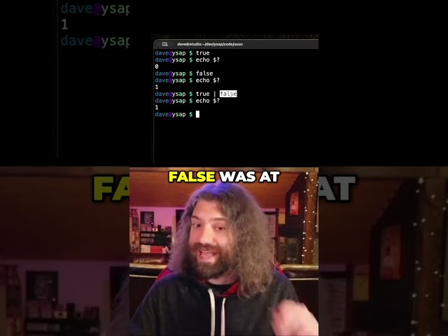 Bash Basics: Understanding True and False Exit Codes