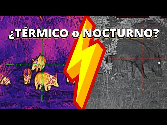 Thermal or Night Vision? 🔥 The ultimate comparison for hunters