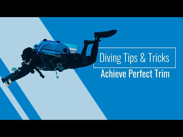 Diving Tips & Tricks: Perfecting your Trim