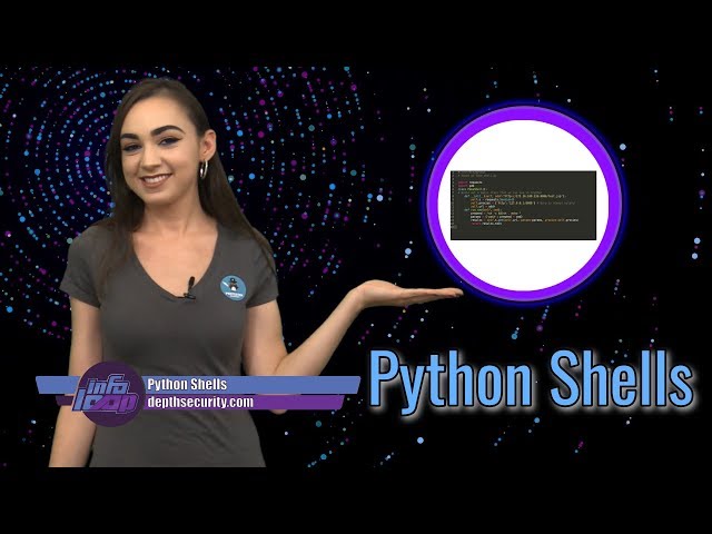 InfoLoop | Ep 8 | Python Shells