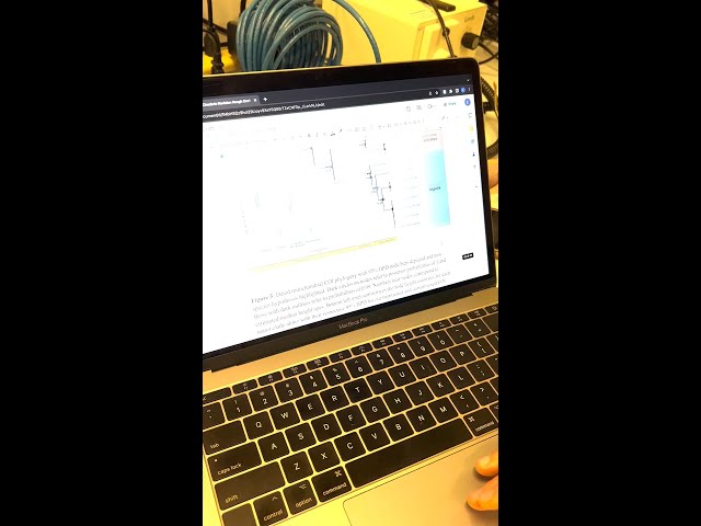 Have we found a new species?