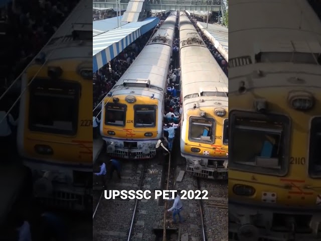 up pet exam 2022