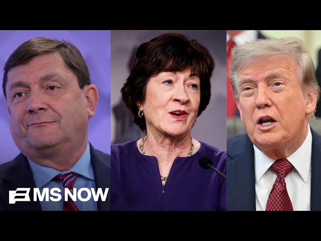 ‘Tie Collins to Trump’: Maine Democrats reveal strategy ahead of November Senate election