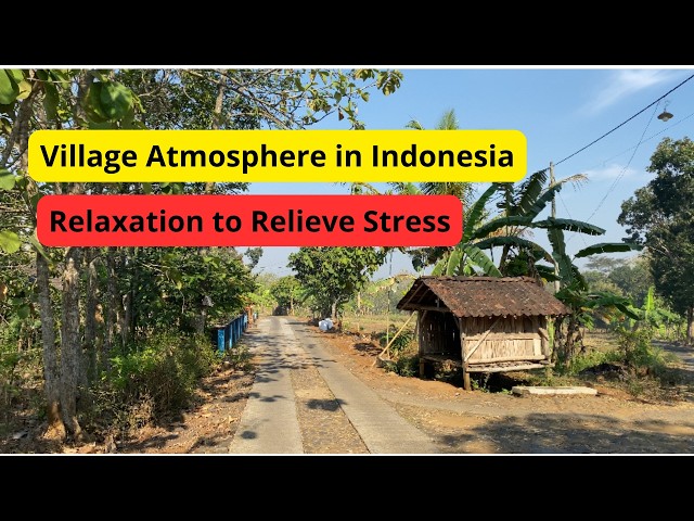 Indonesian Village Morning | Tropical Birds at Dawn |Indonesian rural atmosphere