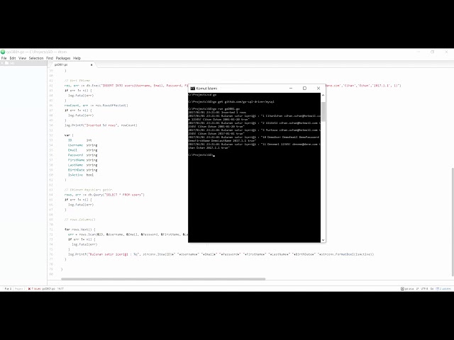 Go Programlama : Go ile Veritabanı İşlemleri - 2