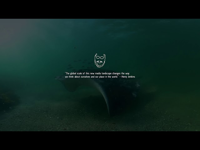 A Panoramic Revolution