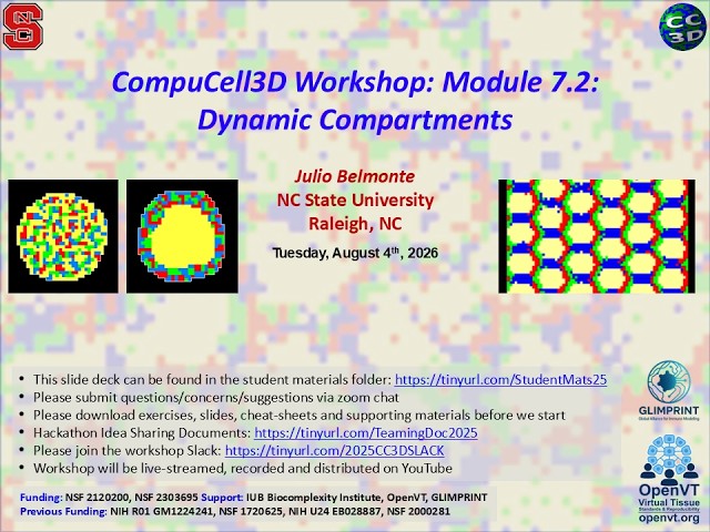CompuCell3D WS 2026: 7.2: Subcellular Models [Julio Belmonte] August 4, 2026