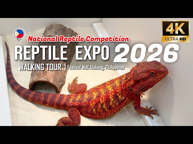 Reptile Expo Philippines 2026 | National Reptile Competition Walking Tour [4K]