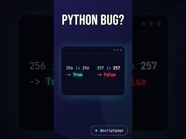 Python’s Weirdest Secret 256 vs 257 🤯 #coding #scripting #programming