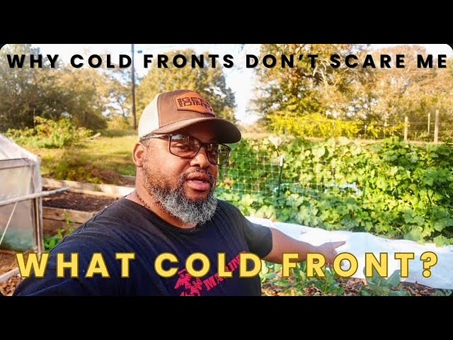 What You NEED to Hear About Cold Front Gardening!