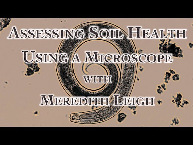 Assessing Soil Health Using a Microscope with Meredith Leigh