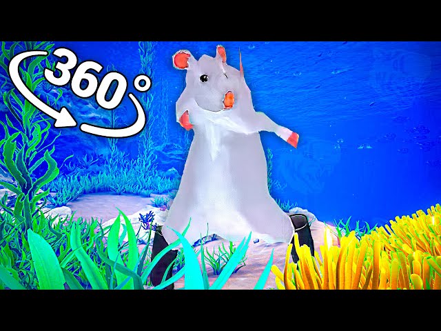 Rat dance - Oceanic in 360° Video | VR / 8K | ( Rat dance meme )