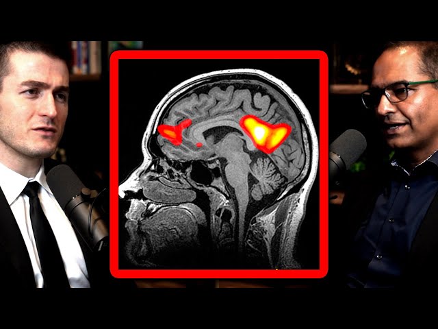The brain thinking about itself: Default mode network explained | Charan Ranganath and Lex Fridman