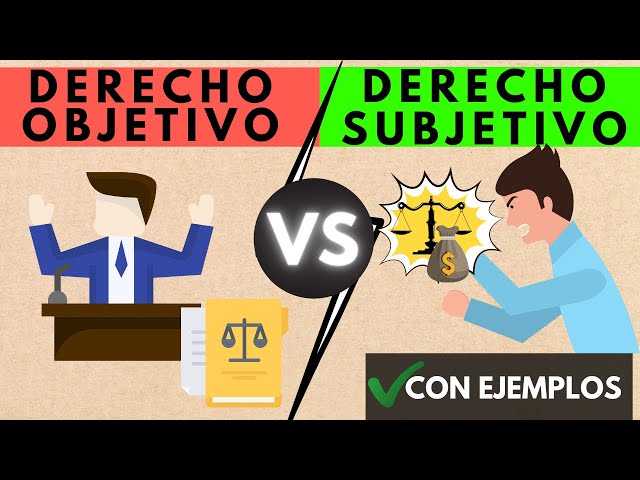 Objective and Subjective Law [with EXAMPLES]