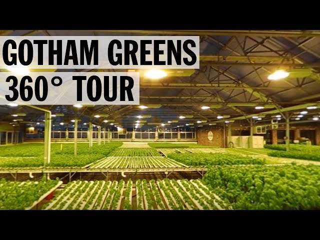 360° Tour of Gotham Greens' Urban Rooftop Farm | Food Network