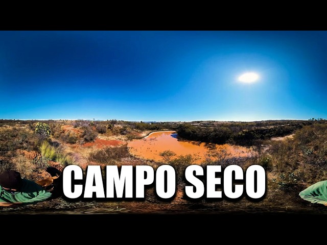 Sequía extrema: El año más seco en 360°