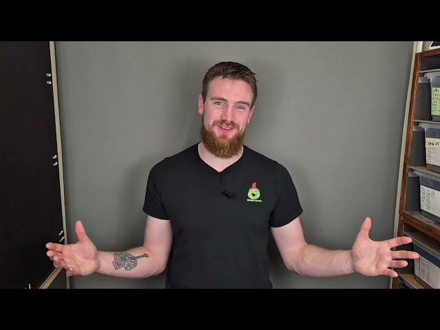 WE'VE GOT EGGS AGAIN!!