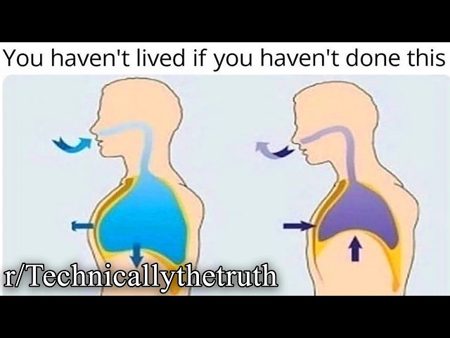 things that are technically true (2+ hours)