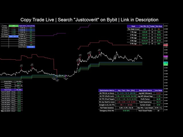 Justcoverit, Master Copy Trader. Live Stream