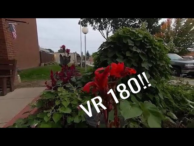 QooCam 3D VR180 Macro Test.