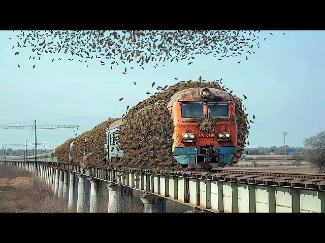 Moments Filmed Second Before Disaster | Incredible Moments #2