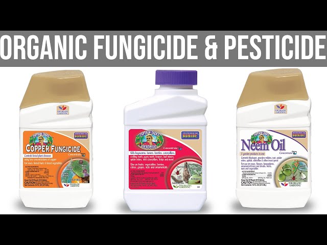 Organic Fruit Tree protection & prevention of fungus and insects. How to ensure fruit production.