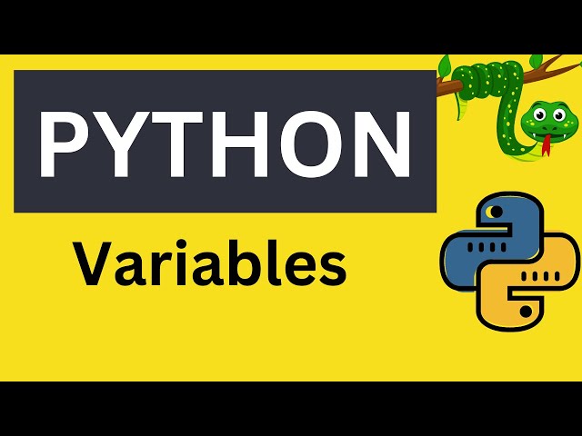 Variables in Python: Everything You Need To Know! Python Tutorial in Hindi 2022 | BR Tech World