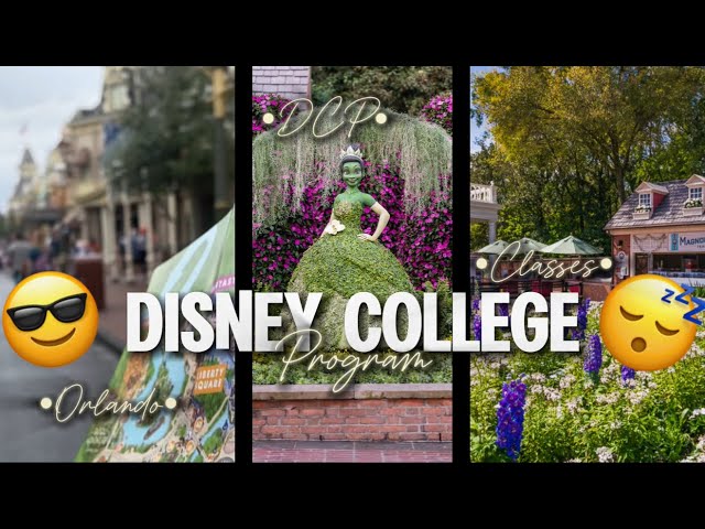 Disney College Program: A Goodbye to the Magic 🪄