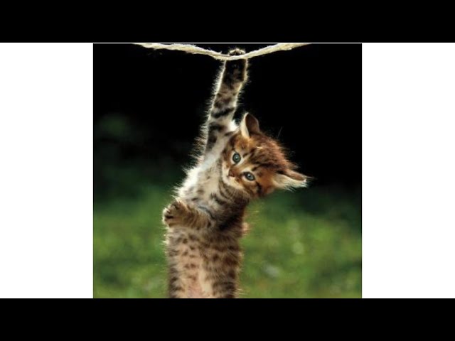 Hang in there the Rapture is sooner than you think