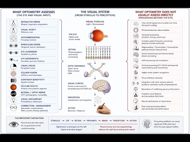An Introduction to vision and visual processing
