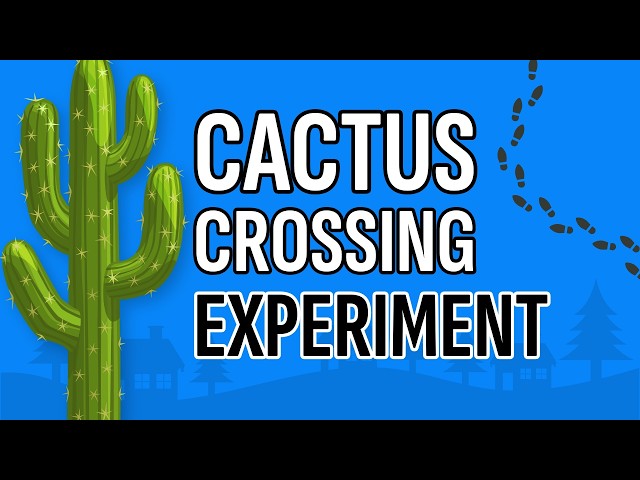 This Thought Experiment Reveals Your Hidden Moral Beliefs