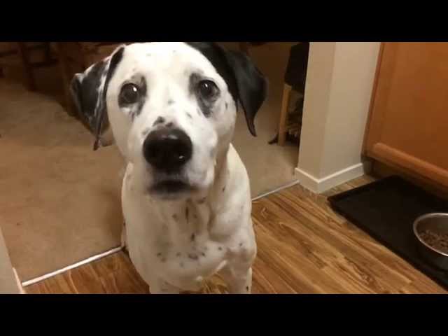 Howie talks in slowmotion.