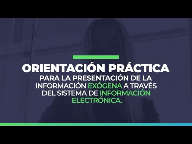 ¿Cómo se presenta la información exógena a través del Sistema de Información Electrónica?
